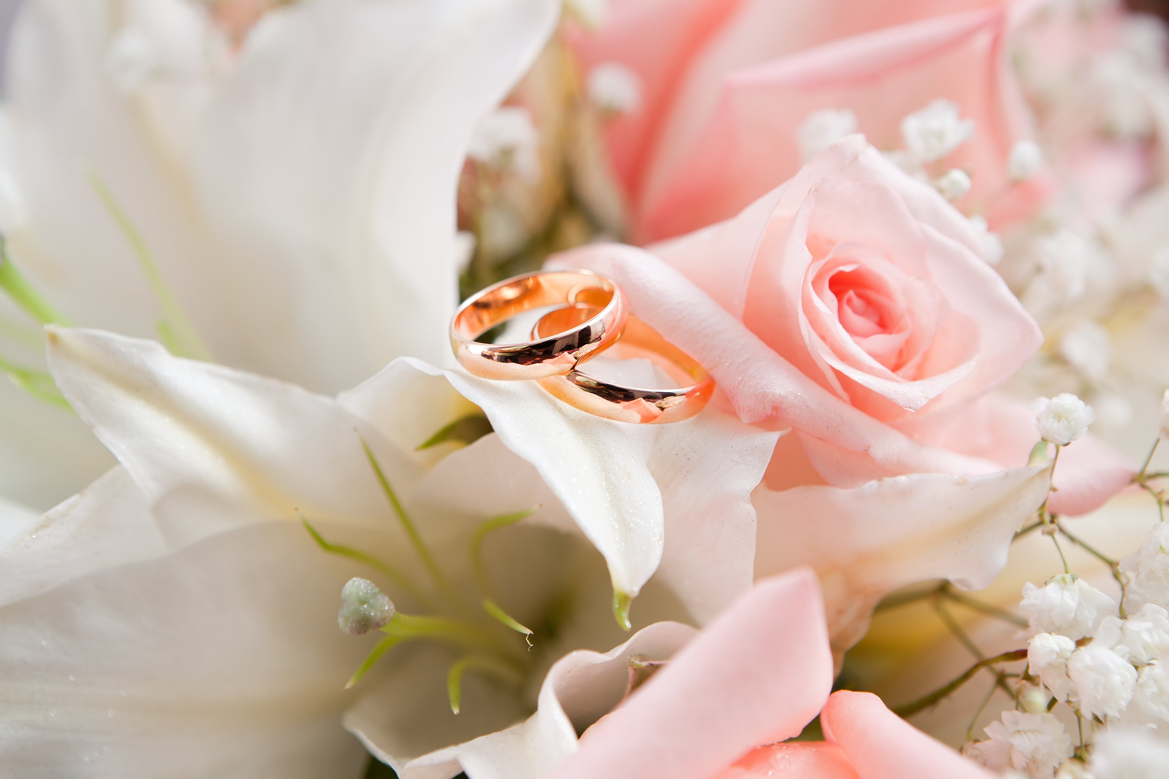 Cassie Posh Planning